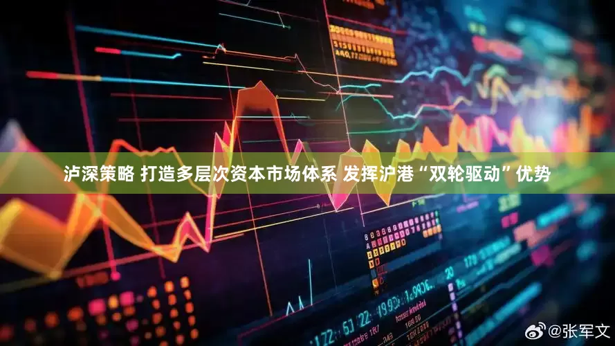 泸深策略 打造多层次资本市场体系 发挥沪港“双轮驱动”优势