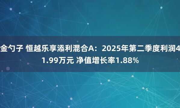 金勺子 恒越乐享添利混合A：2025年第二季度利润41.99万元 净值增长率1.88%