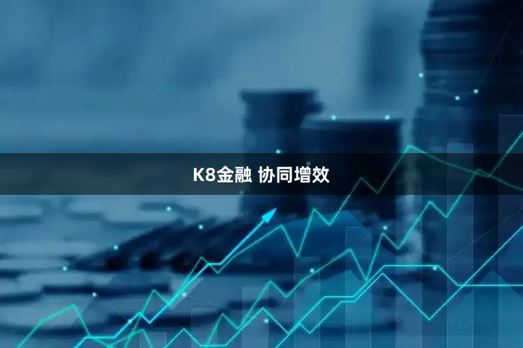 K8金融 协同增效